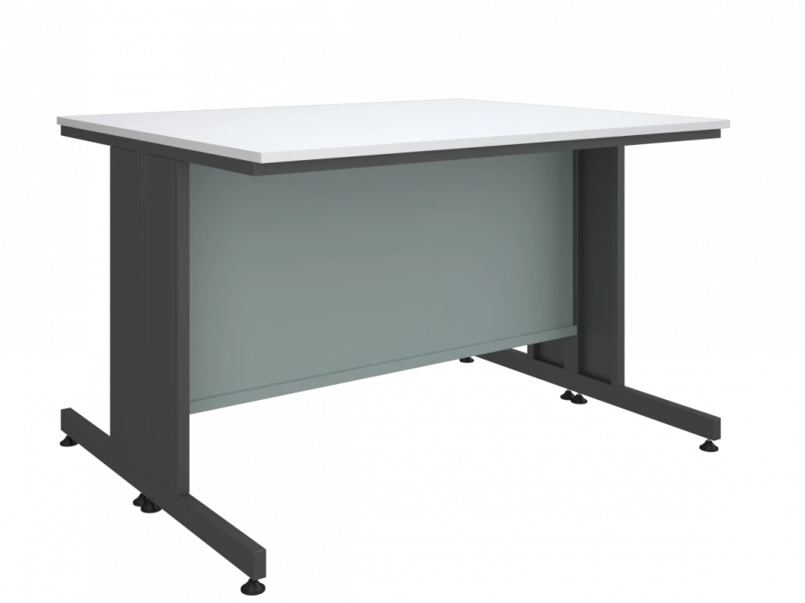 Low laboratory table 3