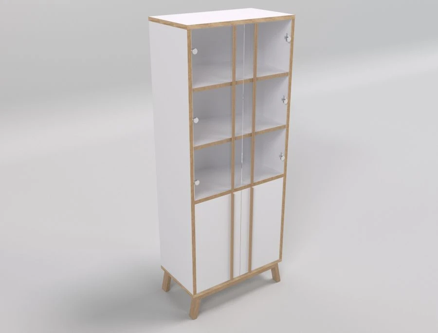 Document cabinet with glass fronts RK1