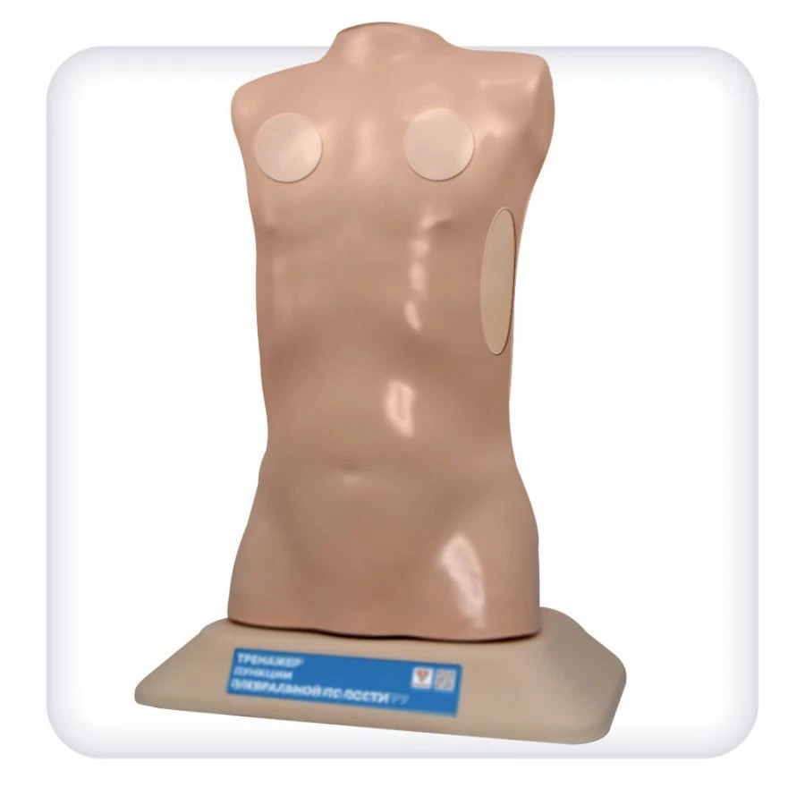 Child mannequin for practising pleural puncture skills, L70A