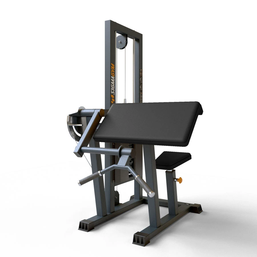 BF-106 Biceps machine