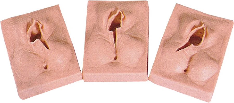 Models for practising episiotomy and suturing, H