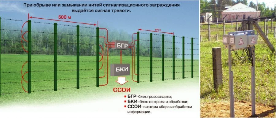 Detection device "RAZRYAD-2"