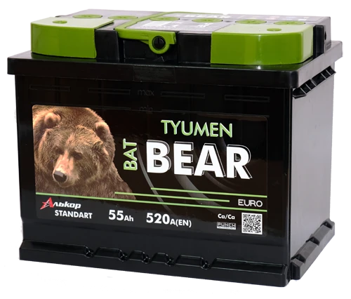 Lead battery for starting piston engines 6ST-55VLA L1 "Tyumen BatBEAR"