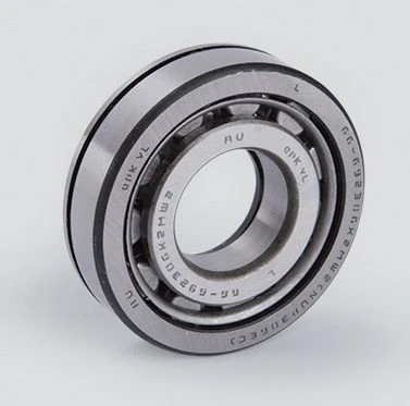 Cylindrical roller bearing 66-692306K2MSH2