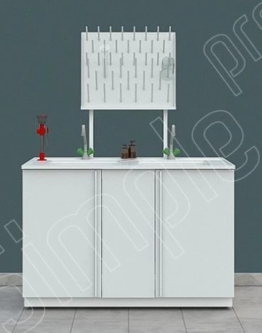 Chemical laboratory sink