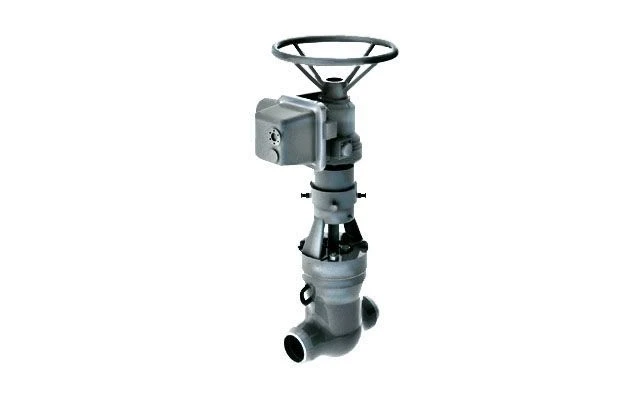 Gate valve 2s-30-2NE