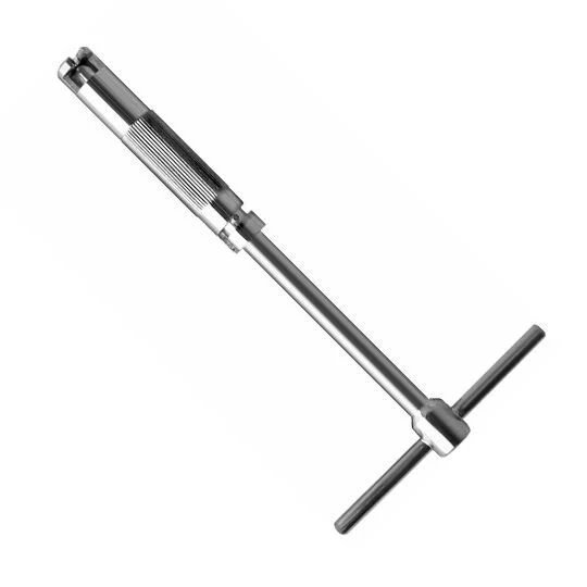 Hexagon or Phillips screwdriver with screw locking device