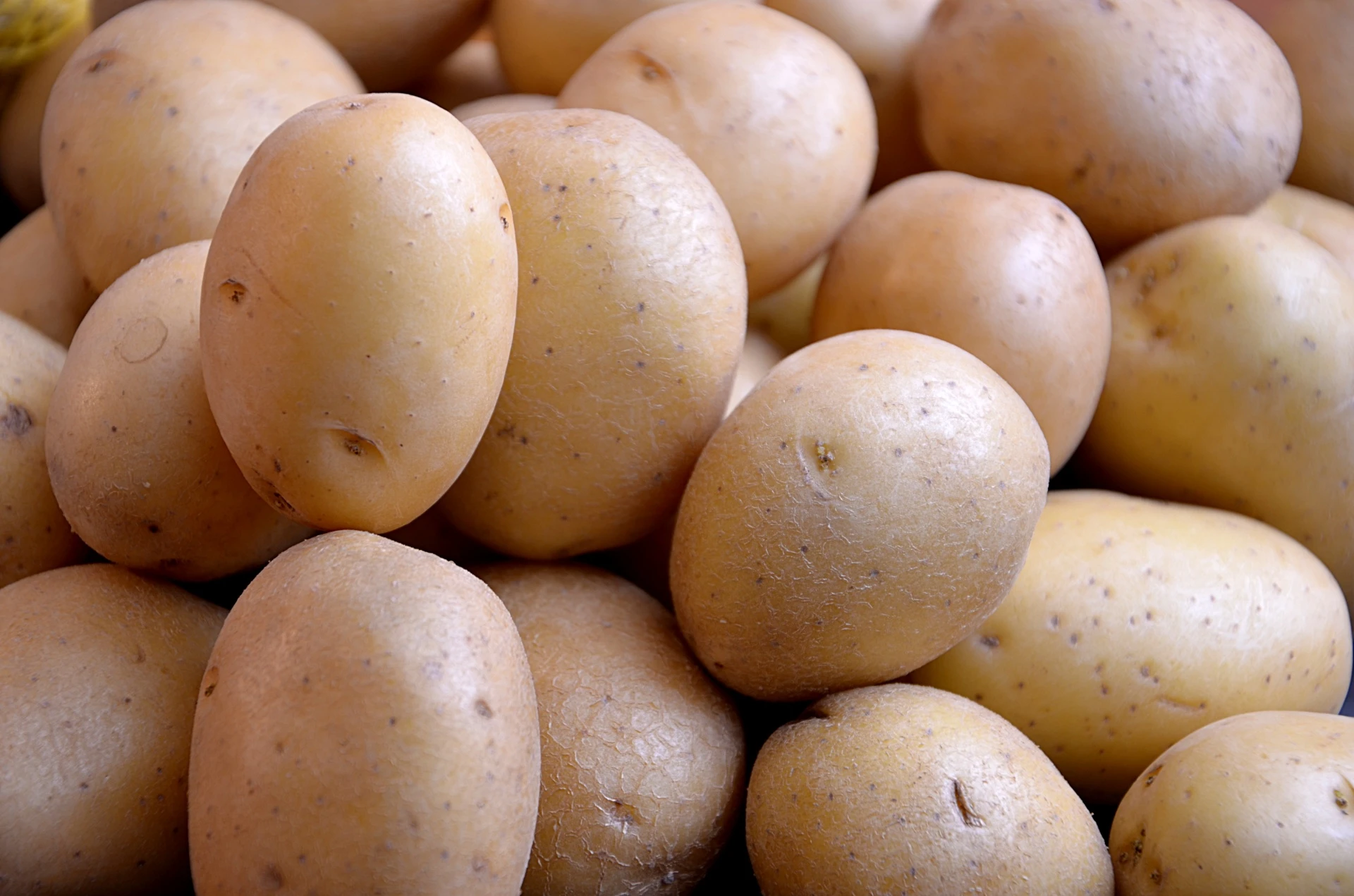 Late-season table-grade potatoes