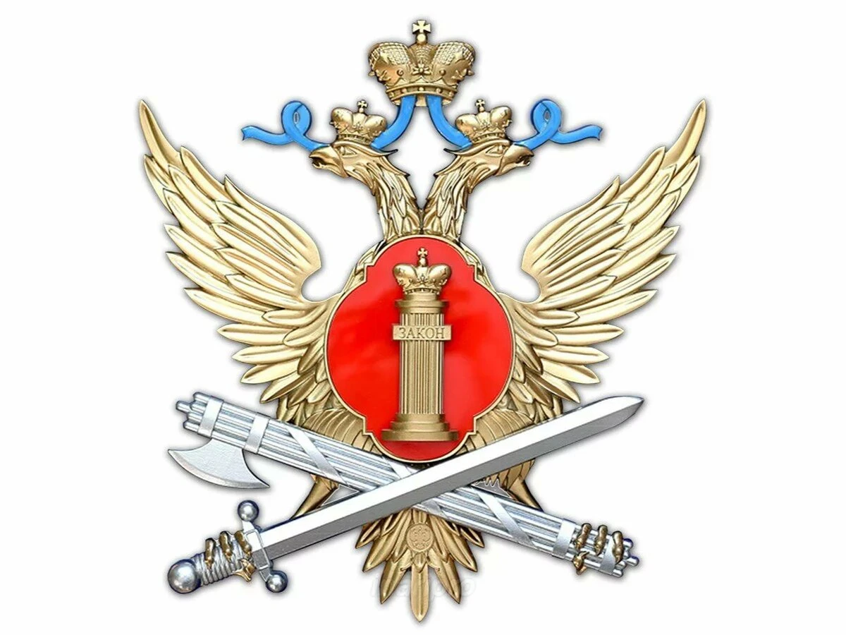 Pickled Cucumbers - Premium Quality