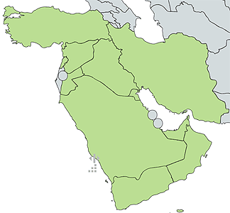 Middle East Region