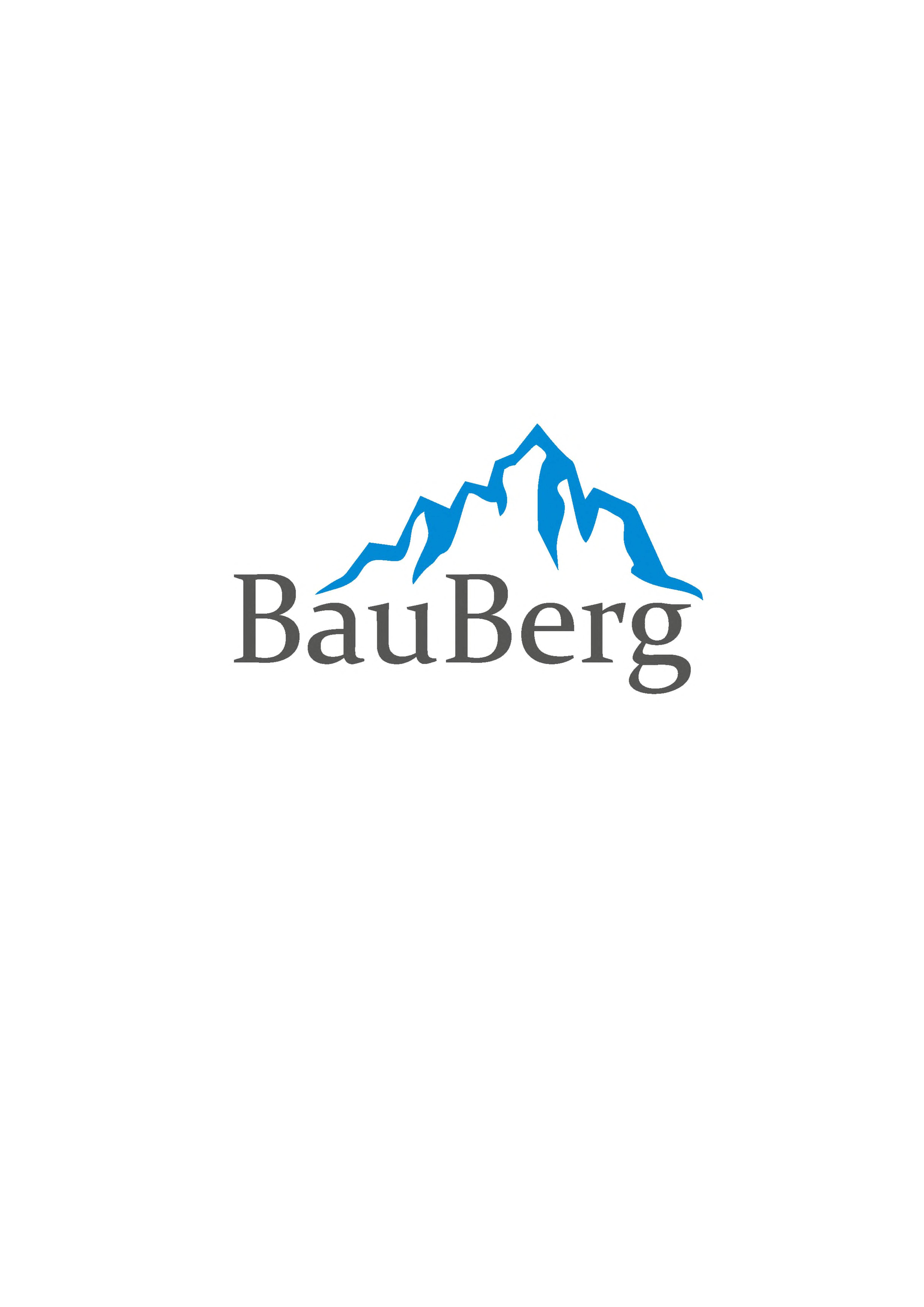 BAUBERG LLC