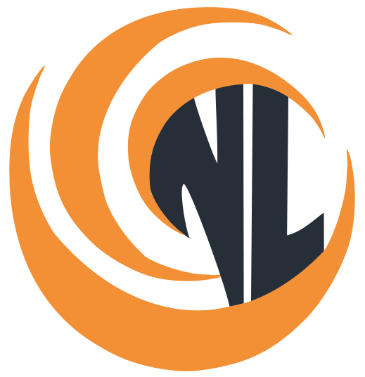 NEWLIGHT LLC
