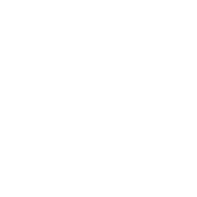SPECINDUSTRIA LLC