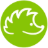 SCOLIOLOGIC SOUTH LLC