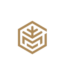 PERSPEKTIVA LLC