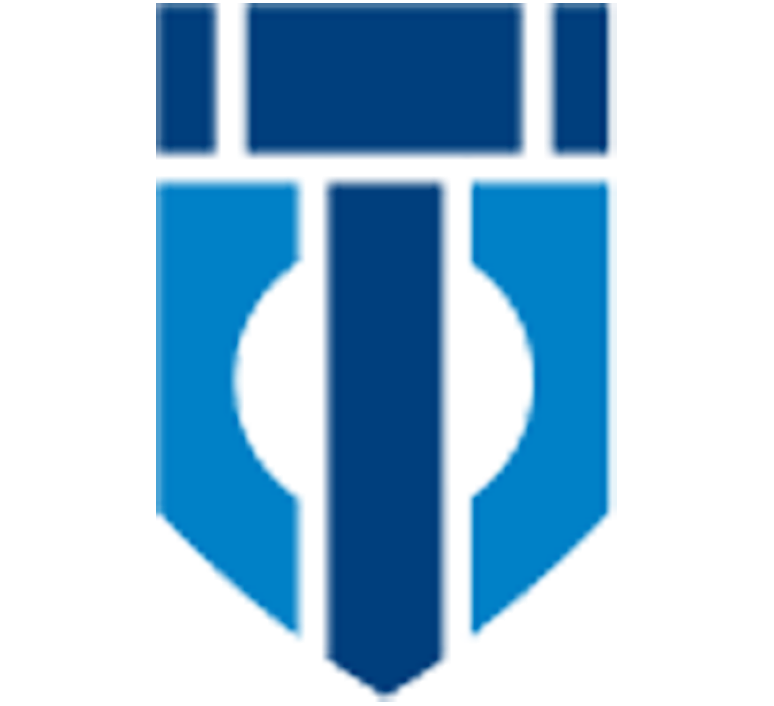 DSM-GROUP LLC