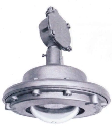 Luminaire Cap DSP Ex