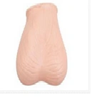 Simulator for testicular examination, item LV45