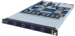 OpenYard RS server, model RS101I-35R (????.466535.101-02)