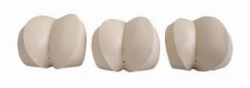 Simulator for rectal examination, LV39A