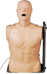 Mannequin for tracheal intubation and gastric lavage, Art. No. NS6036