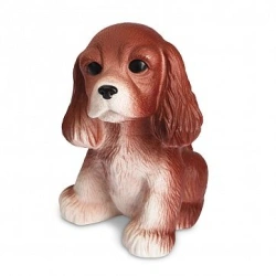Spaniel puppy