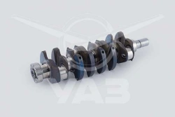 CRANKSHAFT WITH PLUGS 5143.1005011