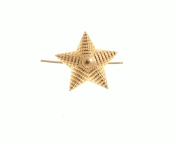 Gold-coloured metal star with diameter of 13 mm