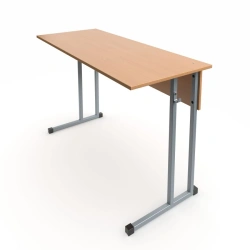 Double-seat pupil's table