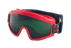 Closed safety goggles ZN11 SUPER PANORAMA, item 21138