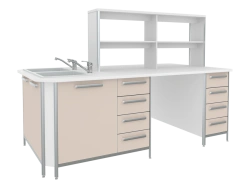 Island table with sink SKDL 4-1 from the set of furniture for clinical diagnostic laboratories according to TU 9452-013-13305037