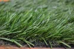 Artificial grass Optigrass C-Classic 55 MF