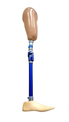 Bathing hip prosthesis PH6-M-K