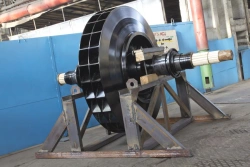 Rotor of exhauster