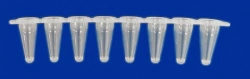 Non-sterile polymeric tube for in vitro diagnostics according to TU 32.50.50-021-54287340-2022: Cone microtube PM3-7-16-PP