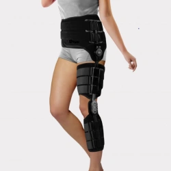 Knee and hip joint apparatus