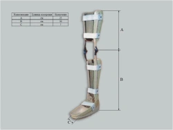Ankle and knee joint apparatus