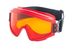 Safety goggles, closed ZN11 PANORAMA, item no. 21112