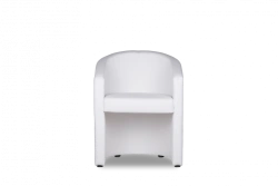 Forum armchair
