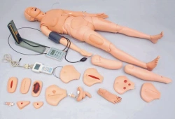Multifunctional mannequin for patient care, 2400
