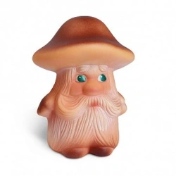 Boletus mushroom