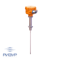 Capacitive level switch RIZUR-101