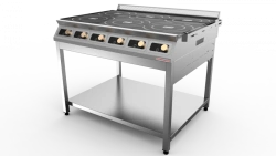 Electric induction cooker PEI-6/G1 D, "Dominator" trade mark