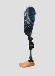 Modular hip prosthesis PN6-71