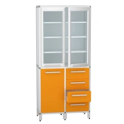 Cabinet for storage of medicines according to TU 32.50.30-007-32924160-2021, article number DM-2-101-21.K2.?2.