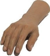 Cosmetic hand prosthesis, including partial and partial carving of the hand PR0-K-OC