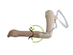 Active shoulder prosthesis PR4-22