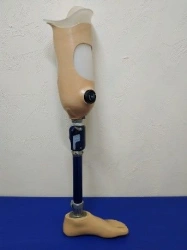 Hip prosthesis for bathing