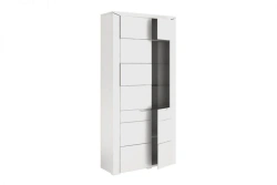 Brij TYP 05 Double-leaf cupboard (White gloss with tinted glass)