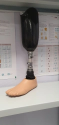 Modular tibial prosthesis